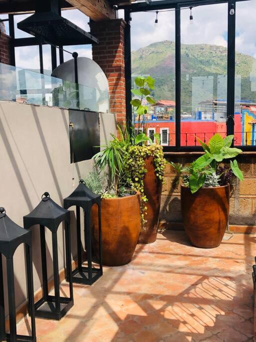 Casa Real Naranjos Con Roof Top! * Guanajuato